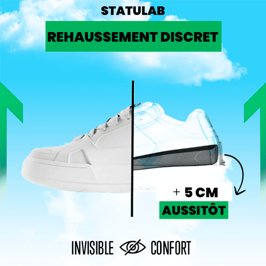STATULAB 2.0